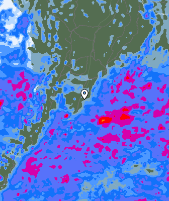 Precipitazioni