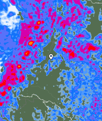 Валежи