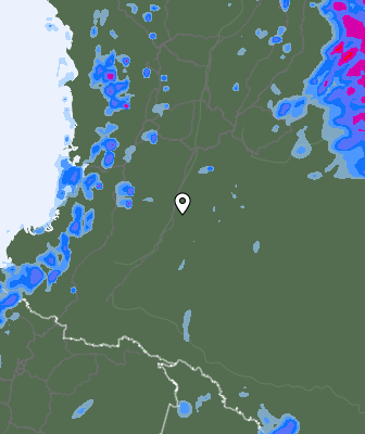 Валежи