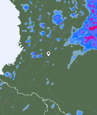 Валежи