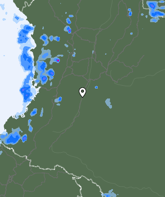 Валежи