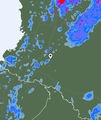 Валежи