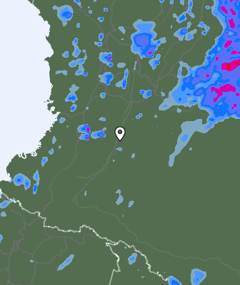 Валежи