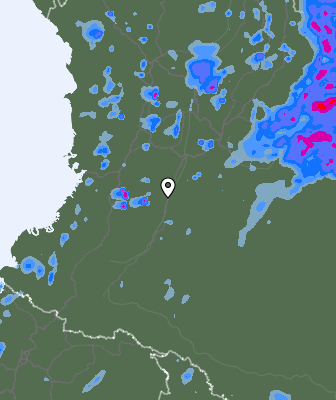 Валежи