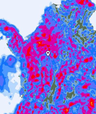 Niederschlagsprognose