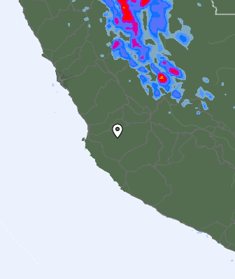 Precipitazioni