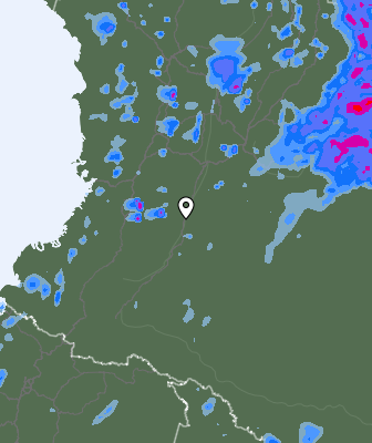 Валежи