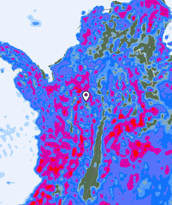 Precipitazioni