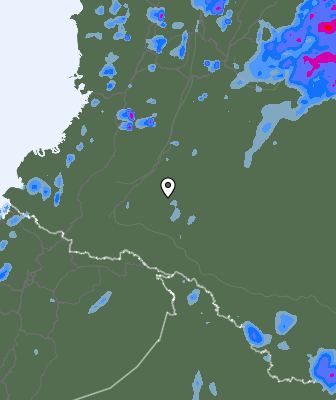Валежи
