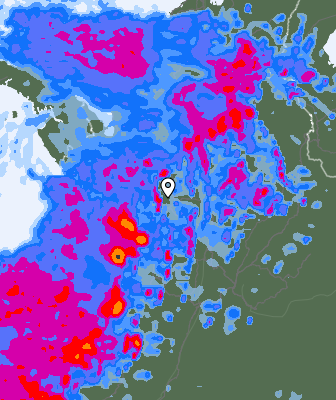 Precipitazioni