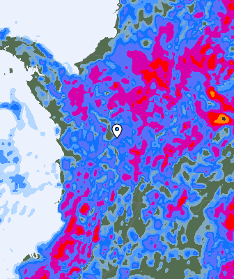 Валежи