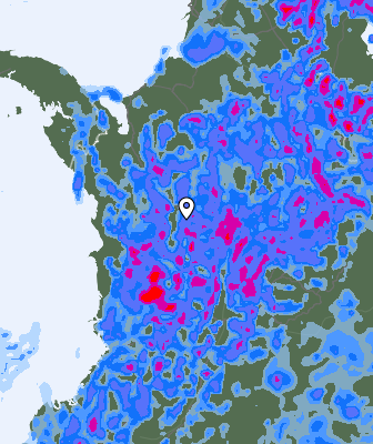 Валежи