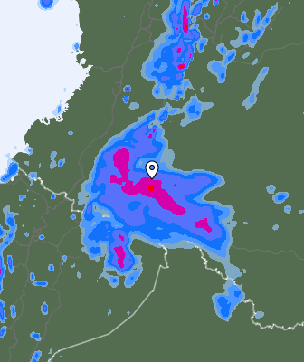 Валежи