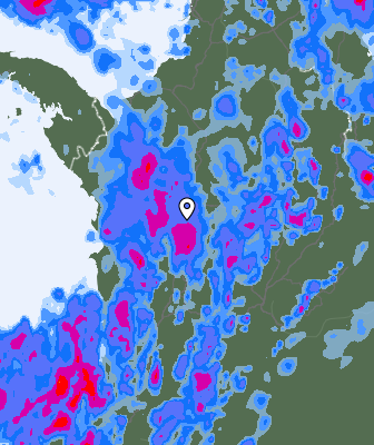 Precipitazioni