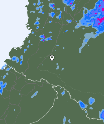 Валежи