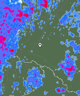 Валежи