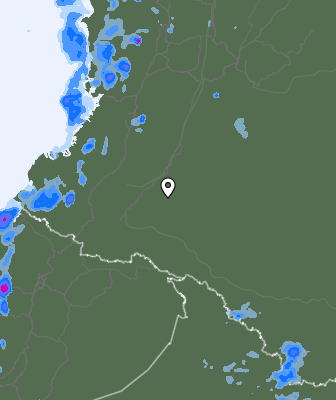 Валежи