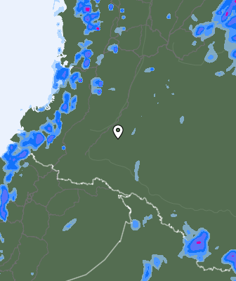 Валежи
