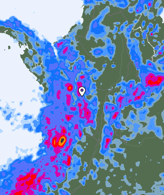 Niederschlagsprognose