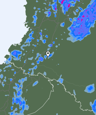 Валежи