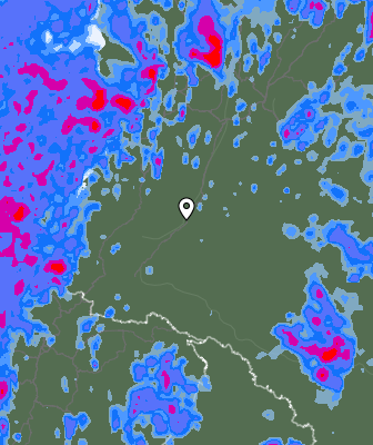Валежи