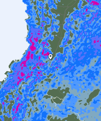 Precipitazioni