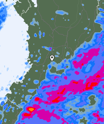Precipitazioni