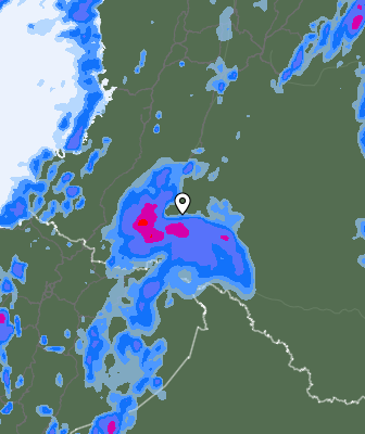 Валежи