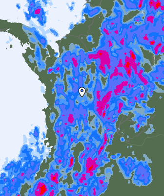 Precipitazioni