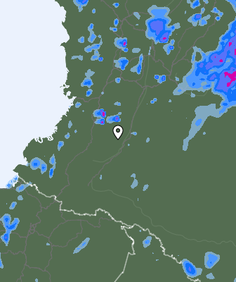 Валежи