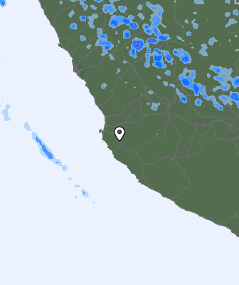 Niederschlagsprognose