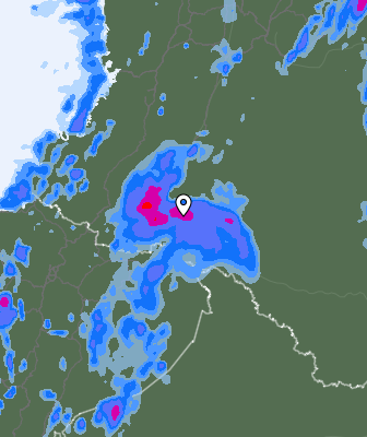 Валежи