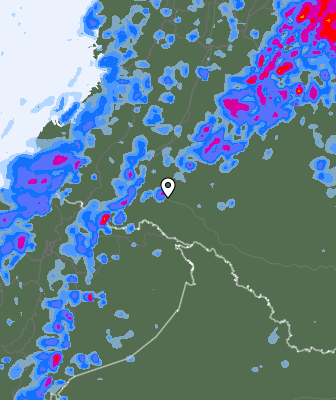 Валежи