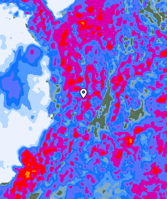 Niederschlagsprognose