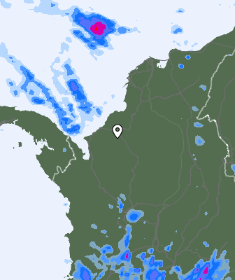 Niederschlagsprognose