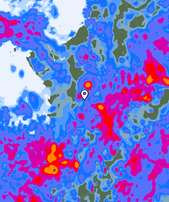 Валежи