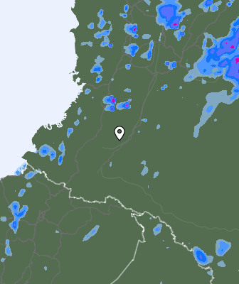 Валежи