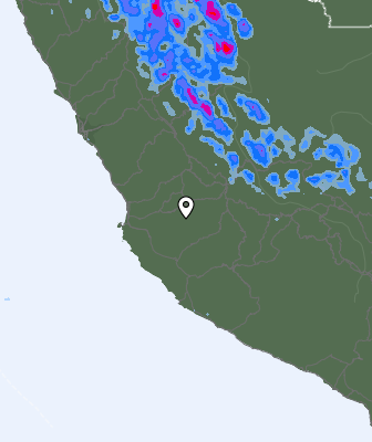 Precipitazioni