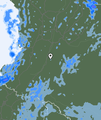 Валежи