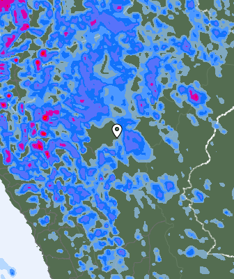 Niederschlagsprognose