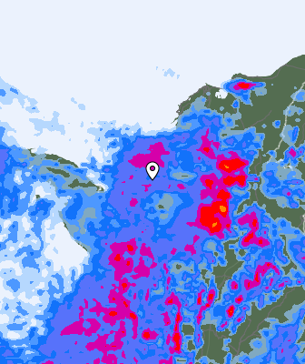 Niederschlagsprognose