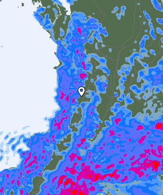 Precipitazioni