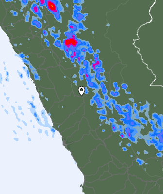Валежи
