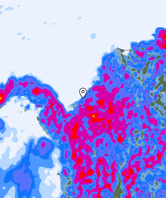 Niederschlagsprognose