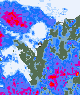 Валежи