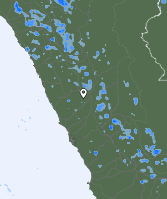 Валежи