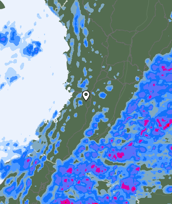 Precipitazioni