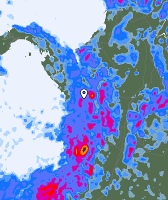 Precipitazioni