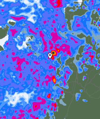 Precipitazioni