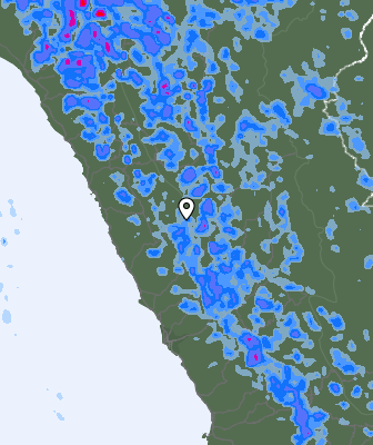 Валежи